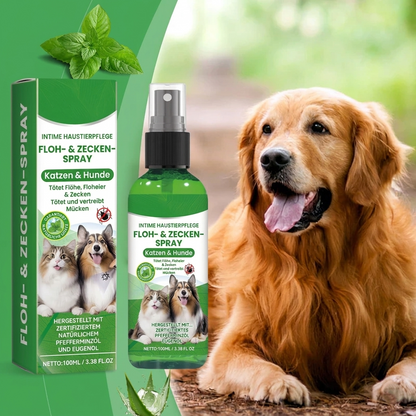Natürliches Floh- und Zeckenspray für Hunde und Katzen