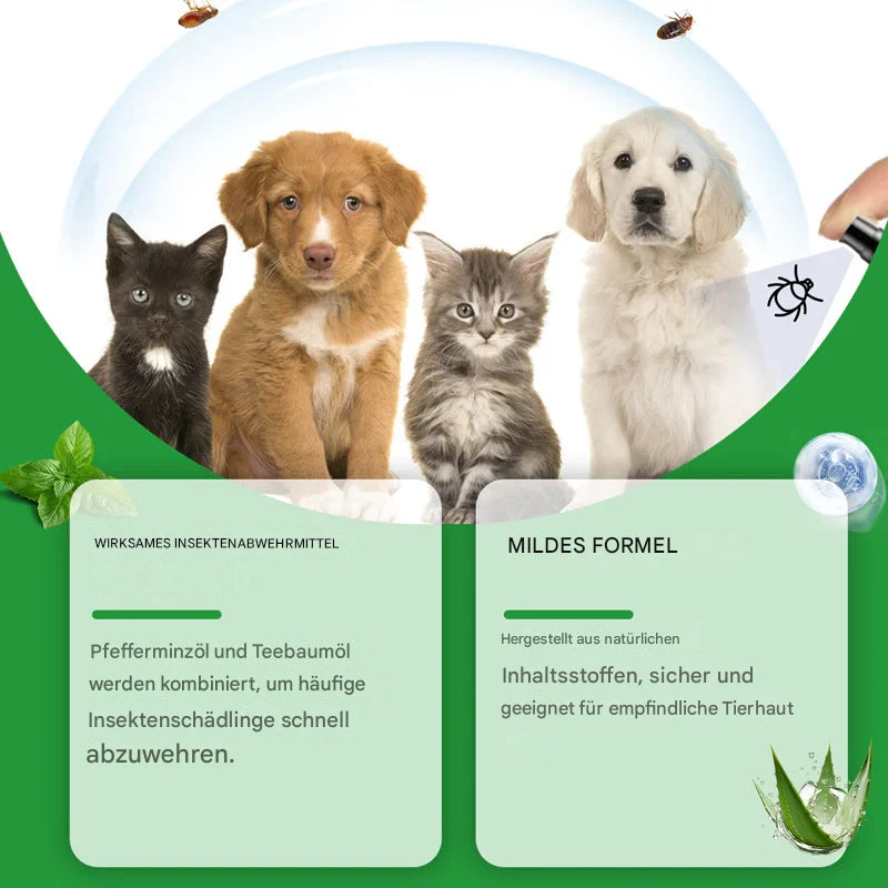 Natürliches Floh- und Zeckenspray für Hunde und Katzen