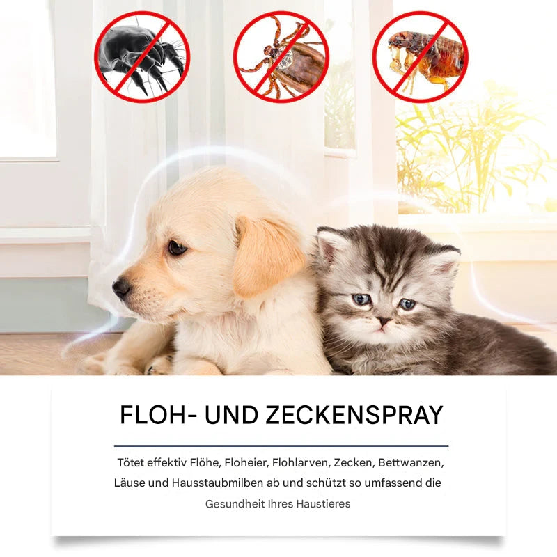 Natürliches Floh- und Zeckenspray für Hunde und Katzen