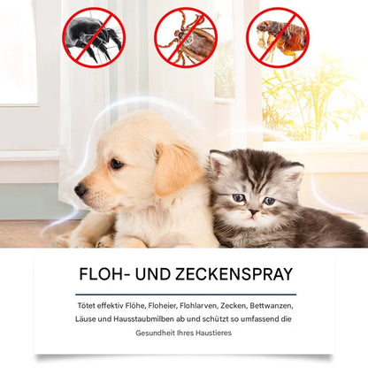 Natürliches Floh- und Zeckenspray für Hunde und Katzen