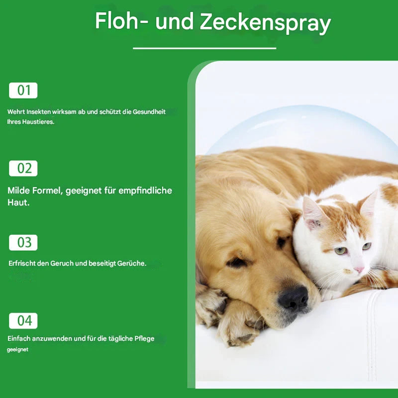 Natürliches Floh- und Zeckenspray für Hunde und Katzen