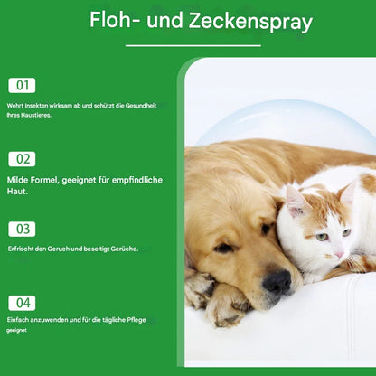 Natürliches Floh- und Zeckenspray für Hunde und Katzen